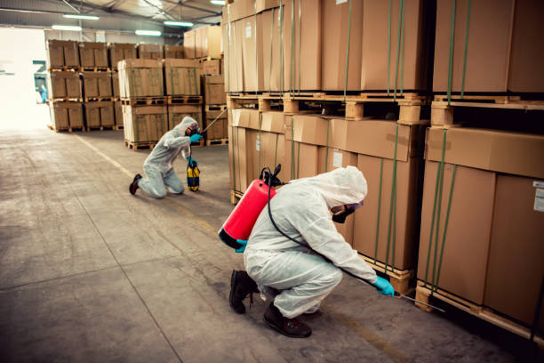 Best Wasp Removal Services  in West Richland, WA