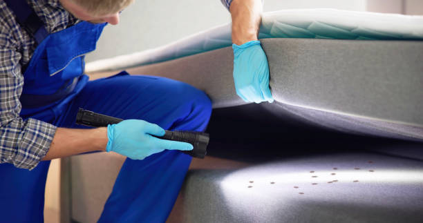 Best Termite Control Services  in West Richland, WA