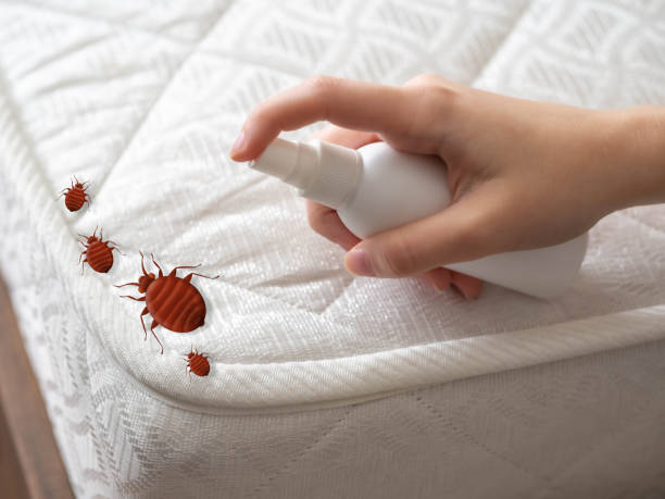 Best Pest Control for Restaurants  in West Richland, WA