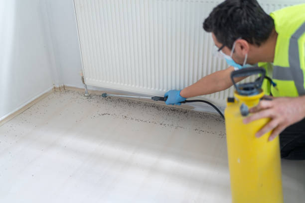 Best Cockroach Control Services  in West Richland, WA