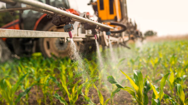 Trusted West Richland, WA Pest Control Experts